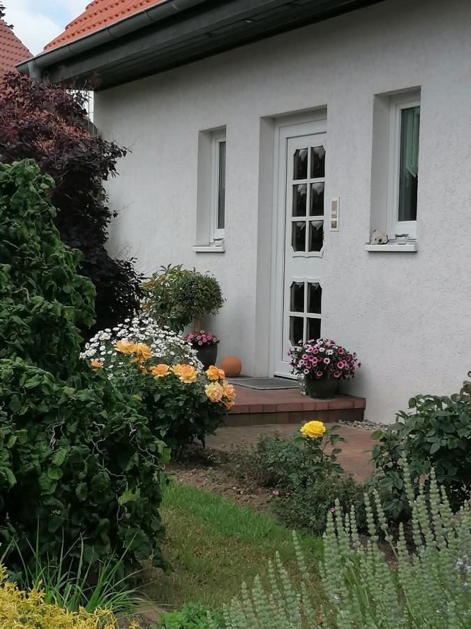 Appartement Fam. M.Lehmann Heringsdorf  Exteriér fotografie